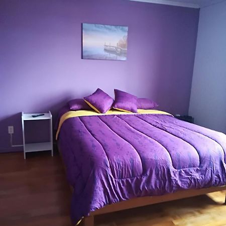Puq Casa Amigos Apartment Punta Arenas Bagian luar foto